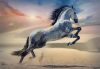 Trefl 1000 darabos Majestic Horse puzzle csomag, 07715