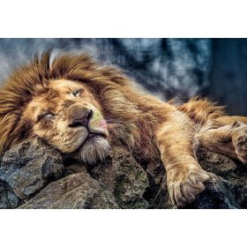 Trefl - 1000 darabos puzzle csomag - Alvó oroszlán - 07814