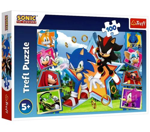 Trefl, Találkozás Sonic-kal, 100 darabos puzzle csomag,  07817