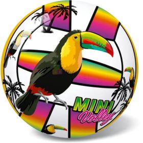 Állatmintás labda, 11 cm, 08495